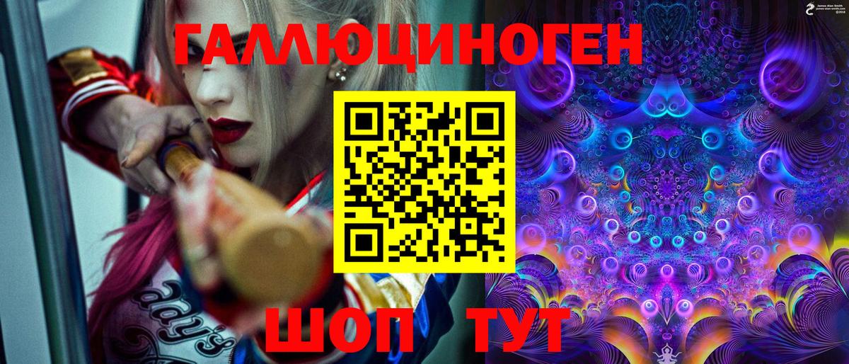 Псилоцибиновые грибы Psilocybe Тулун